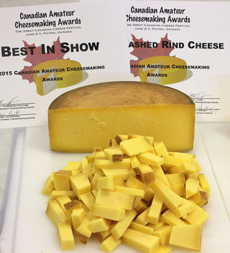 Clover, made by Mira Schenkel, Best of Show at the first Canadian Amateur Cheesemaking Awards.
